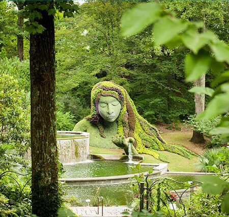 Atlanta Botanical Garden: A Lush Oasis in the Heart of the City