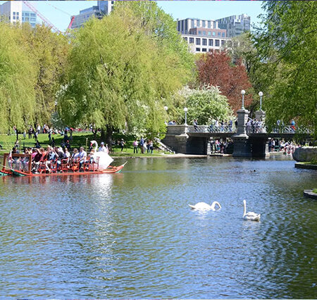 Boston Public Garden: A Serene Oasis in the Heart of Boston
