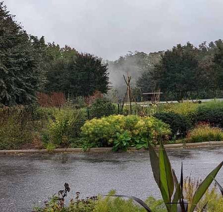 Cylburn Arboretum: A Natural Escape in the Heart of Baltimore