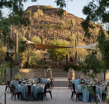 Desert Botanical Garden: A Stunning Celebration of the Sonoran Desert’s Beauty