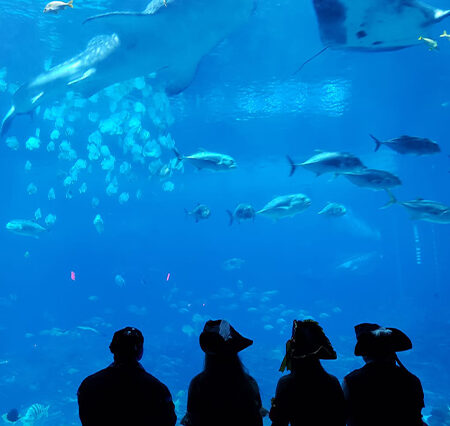 Georgia Aquarium: The Largest Aquarium in the Western Hemisphere