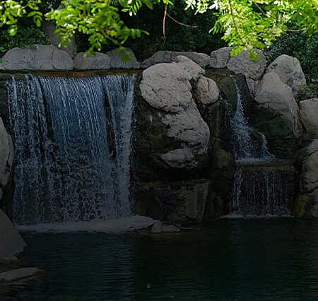Japanese Friendship Garden: A Tranquil Oasis in the Heart of Phoenix