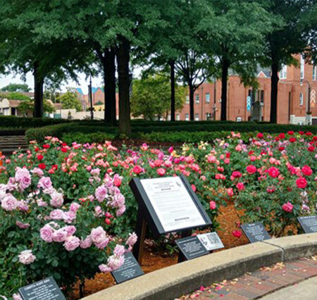 Martin Luther King Jr. National Historical Park: A Journey Through the Life and Legacy of a Civil Rights Icon