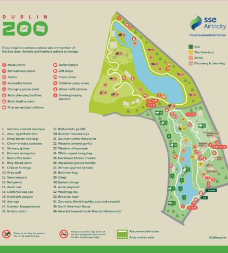 Dublin Zoo: A Wildlife Adventure in the Heart of Phoenix Park