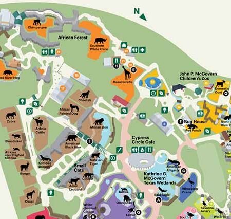 Houston Zoo: A Wild Adventure for All Ages