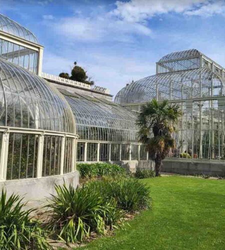 National Botanic Gardens: A Green Oasis in Dublin’s Heart