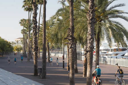 Port Vell: Barcelona’s Historic Waterfront and Leisure Hub