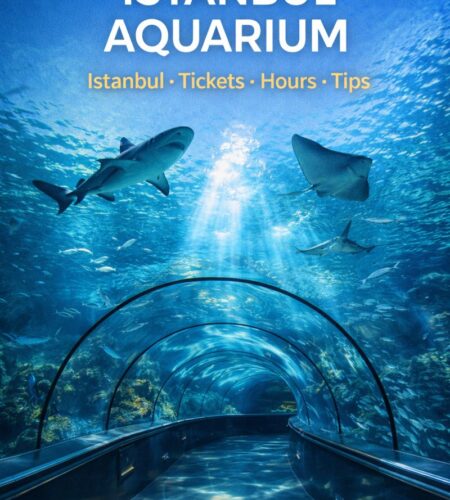 Istanbul Aquarium: Tickets, Hours, Animals, Tips & How to Get There (Florya)