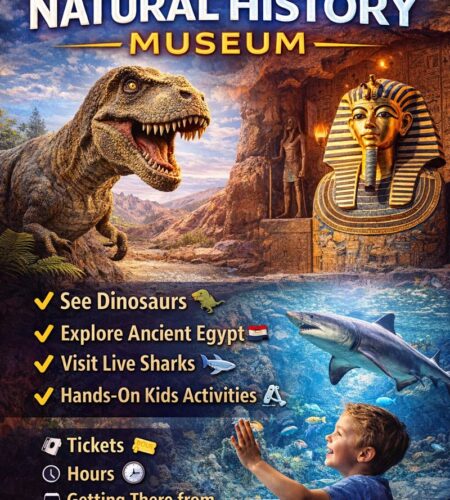 Las Vegas Natural History Museum: Tickets, Hours, Exhibits & How to Visit (From The Strip + Airport)