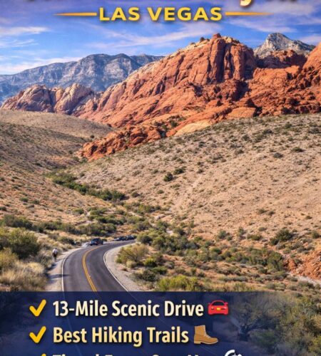 Red Rock Canyon Las Vegas: Scenic Drive, Best Hikes, Timed Entry, Fees & How to Visit