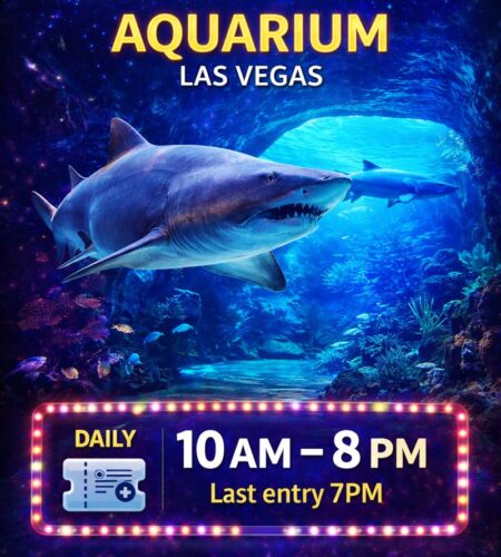 Shark Reef Aquarium Las Vegas: Tickets, Hours, VR, Best Time to Visit + How to Get There (LAS Airport)