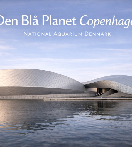 Den Blå Planet Copenhagen: Tickets, Opening Hours, How to Get There & Tips