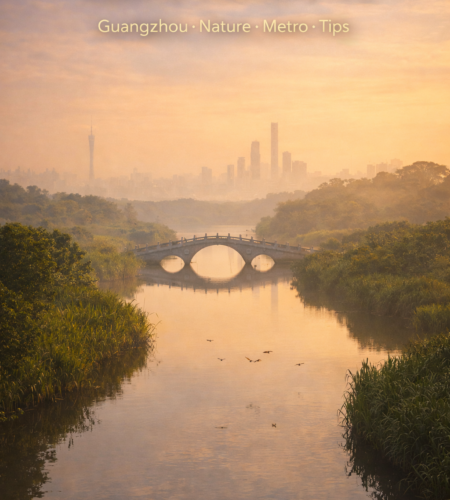 Haizhu Wetland Park Guangzhou: Tickets, Booking, Metro, Hours & Best Walking Route 🌿🦆📍