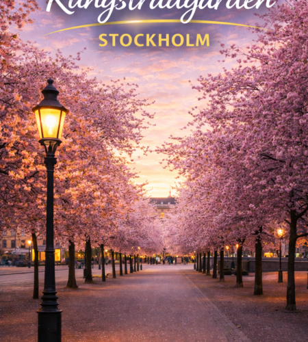 Kungsträdgården Stockholm: Cherry Blossoms, Ice Skating, Events & Local Tips