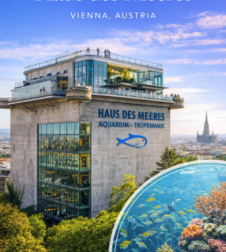 Haus des Meeres: Tickets, Opening Hours, Feeding Times, and Rooftop Views in Vienna