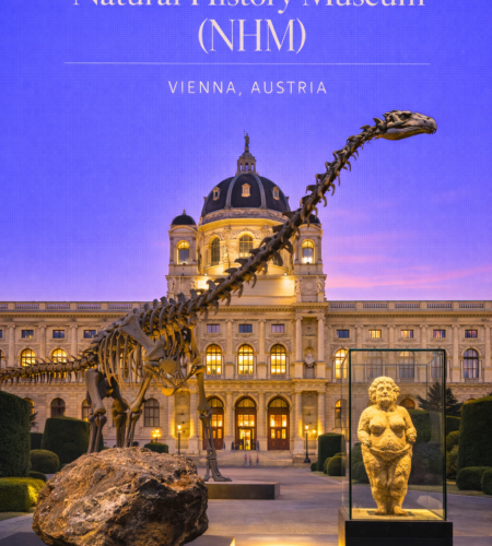 Natural History Museum (NHM): Tickets, Opening Hours, Highlights, and How to Visit
