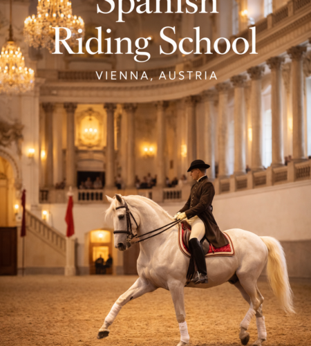 Spanish Riding School: Tickets, Morning Exercise, Performances, and Tours in Vienna